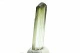 Green Elbaite Tourmaline Crystal - Rubaya, Congo #206896-1